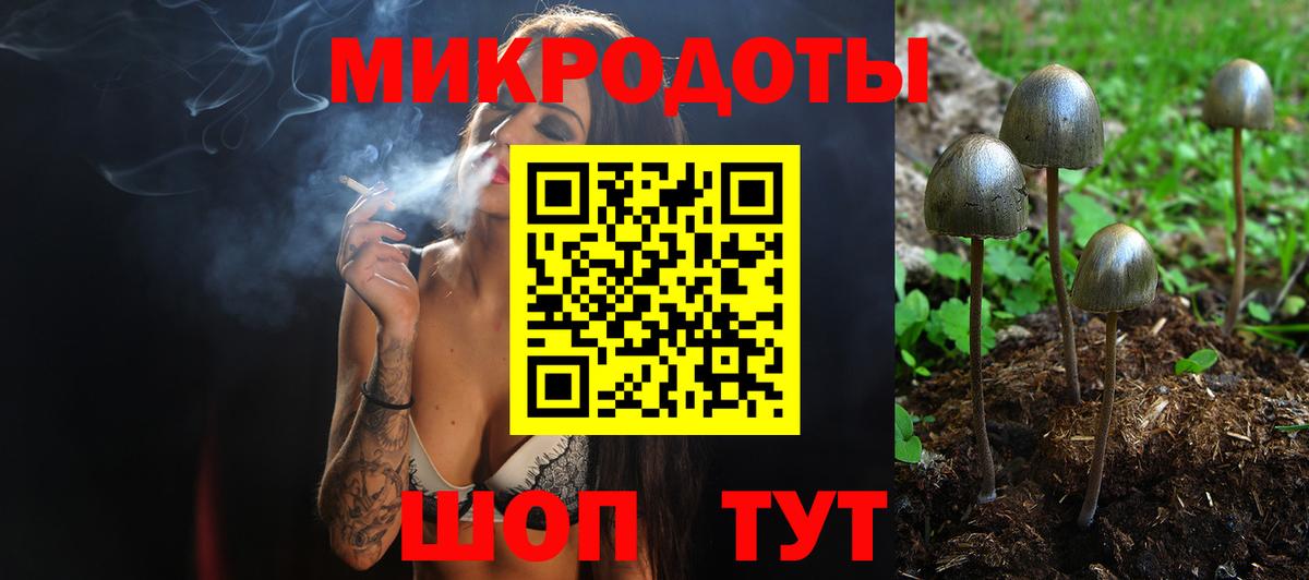Псилоцибиновые грибы мухоморы Касимов